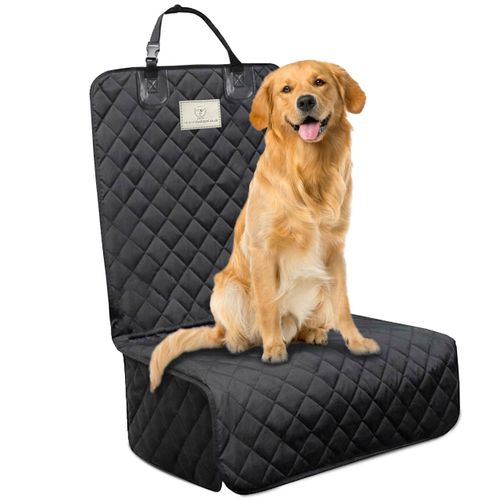 comparatif siege auto chien